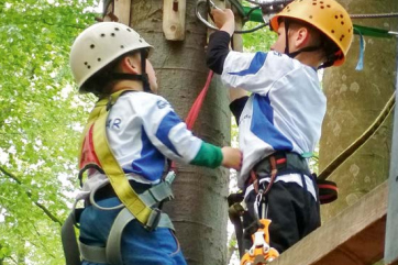 Das Bild zeigt Kinder in Kletterausrüstung, die an einem Baum klettern.