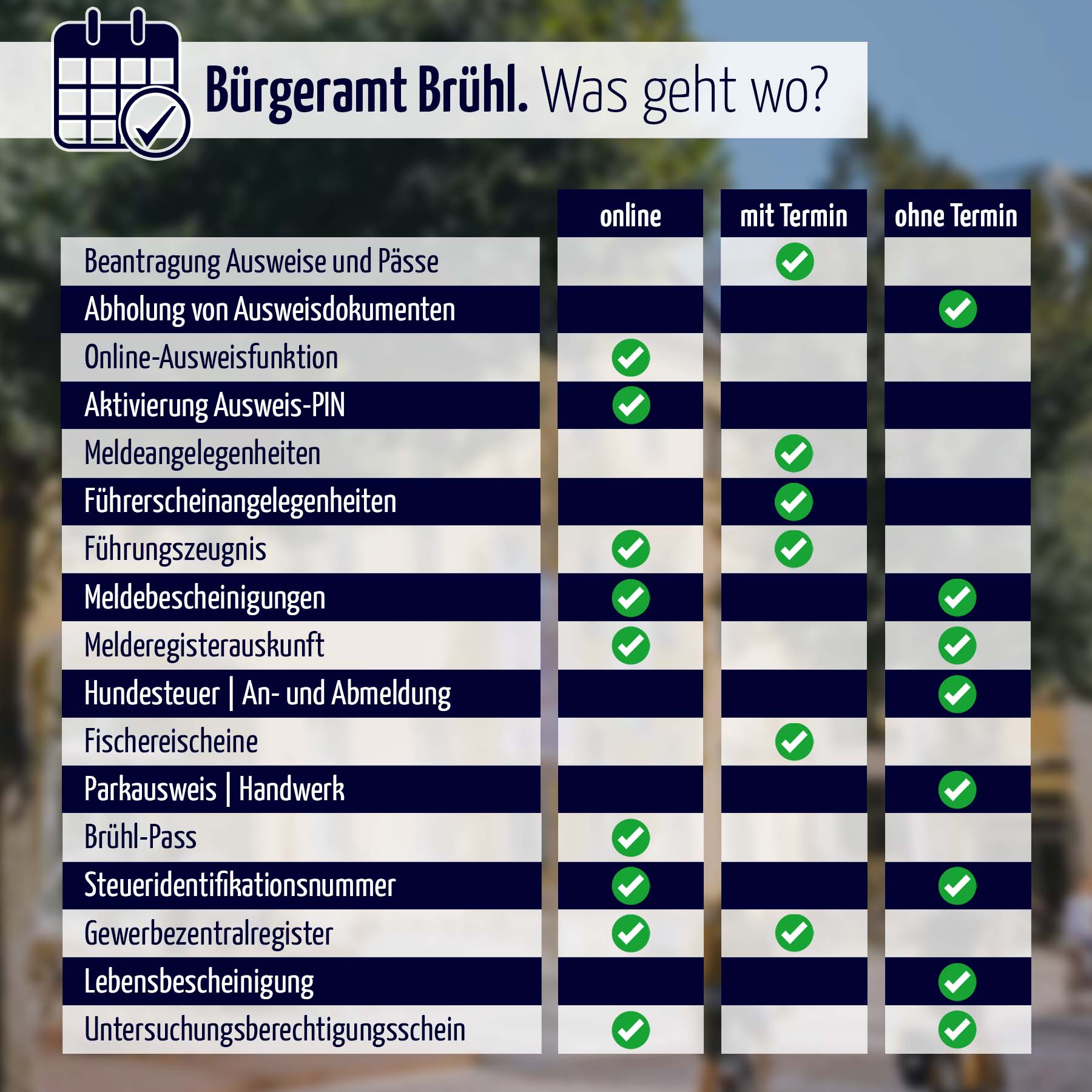 Eine Grafik zeigt in drei Spalten, welche Dienstleistungen, online, mit und ohne Termin erledigt werden können