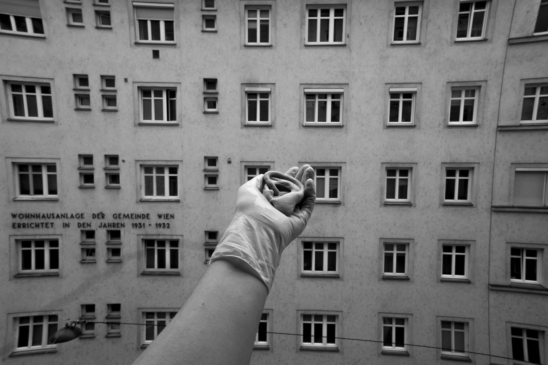 Foto: Anna Anvidalfarei Arbeit 2: Paranoides Ohr, 2024, Fotografie