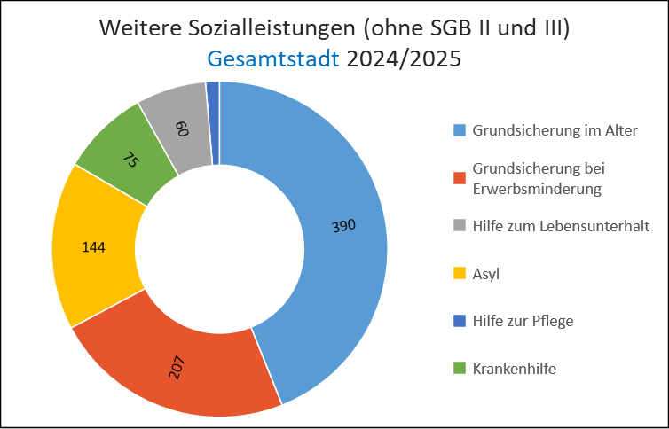 Weitere Sozialleistungen (ohne SGB II und III)