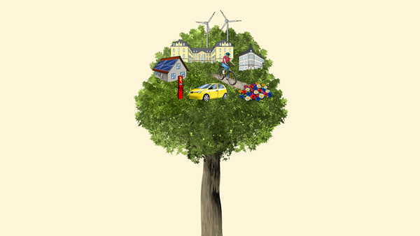 Symbolbild Baum mit Brühler Schloss