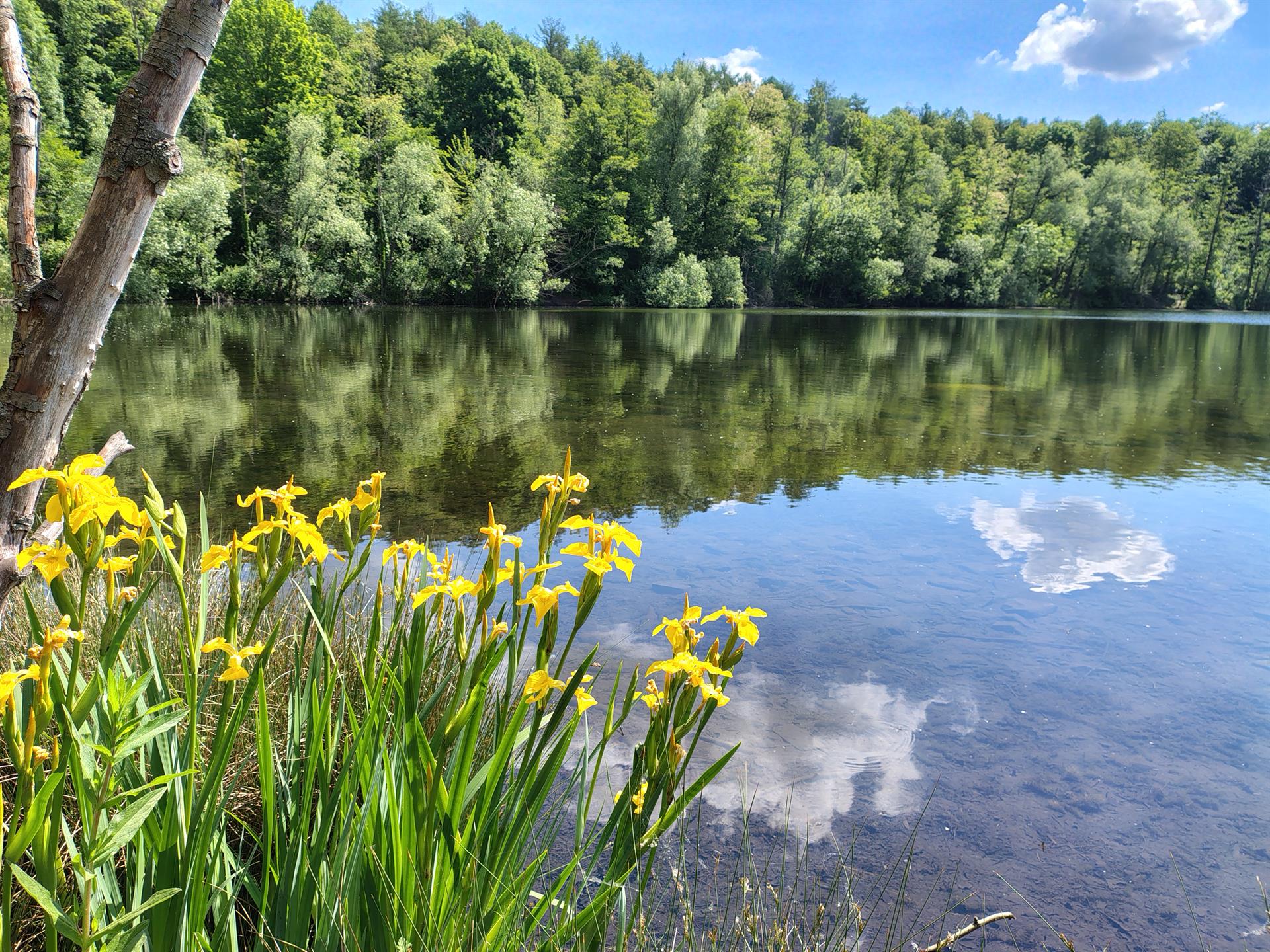 Ansicht Heider Bergsee