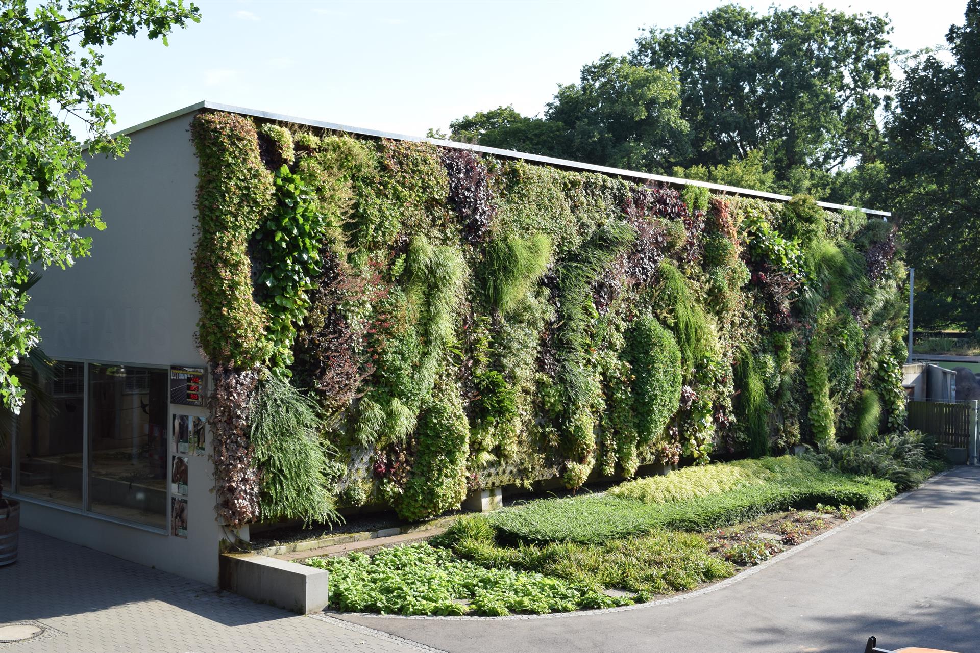 Flächige wandgebundene Fassadenbegrünung (Quelle: Bundesverband Gebäude Grün e.V.)